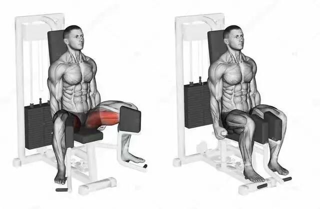 为什么会有单关节器械【前叉术后】康复器械的选择与训练技巧！别再做无效康复了！_https://www.jmylbn.com_新闻资讯_第15张