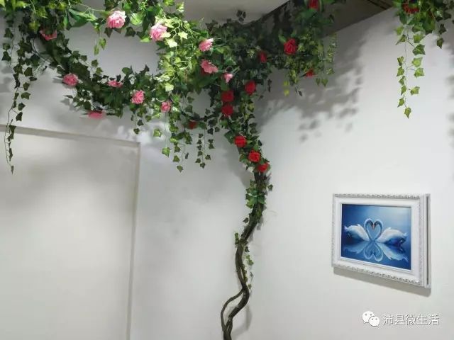朝鲜脱北者 中国逃港潮_脱与逃txt微盘_美人鱼逃脱攻略