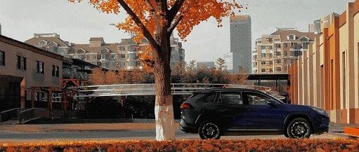 威兰达：我就摆在你面前