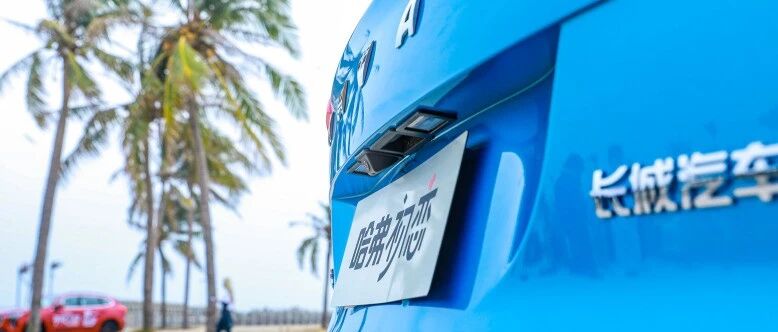 哈弗初恋：不一定甜美 但一定难忘