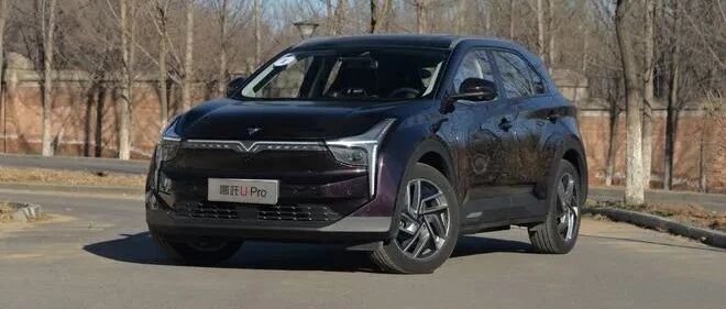 补贴继续退坡30% 涨价成为新能源车企的唯一解？