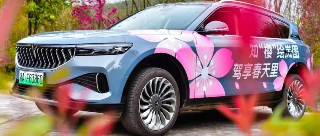新能源汽车里的高端玩家：抓住三月的尾巴，开着岚图赏樱花