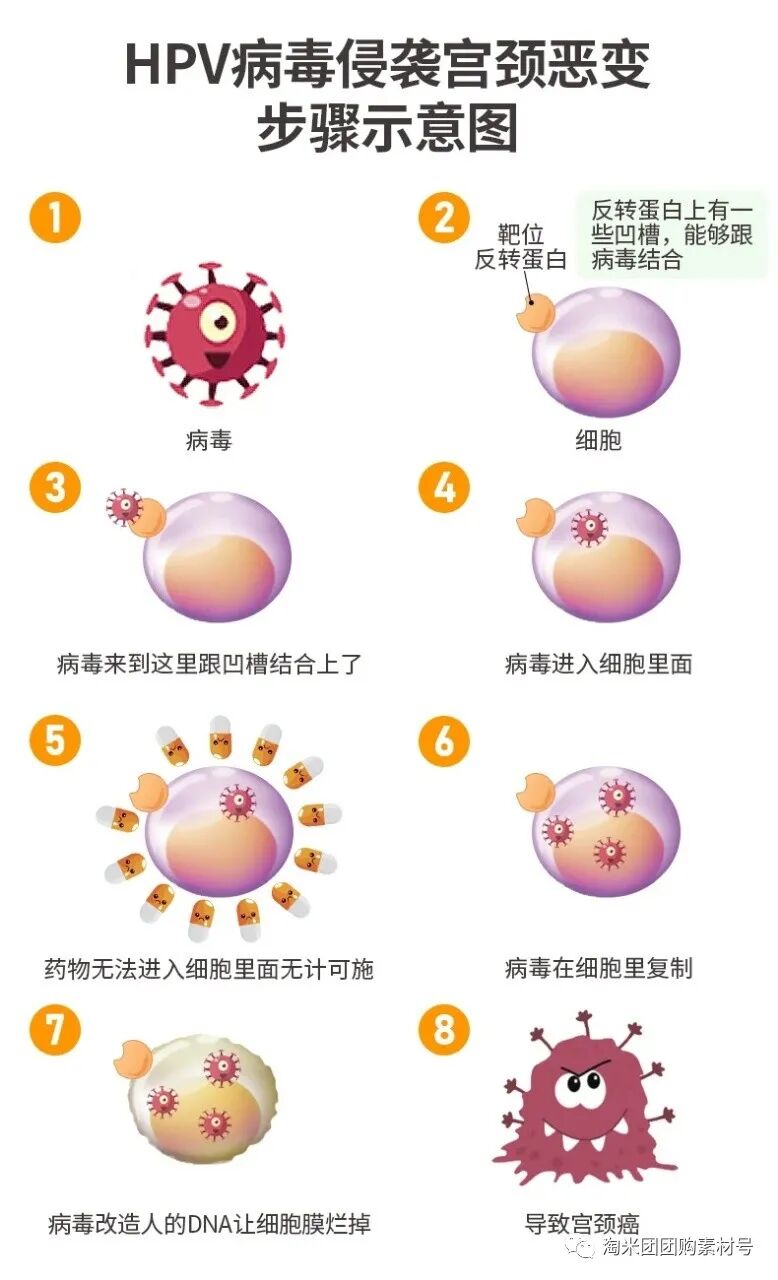 妇科蛋白膜怎么用【医师推荐】国药集团抗HPV生物蛋白妇科凝胶 ｜ 阻断HPV感染，恢复私处年轻态_https://www.jmylbn.com_新闻资讯_第27张