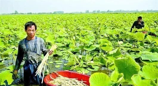 年底了，做什么生意能赚到钱呢？这几个项目可以考虑！-偏门行业网