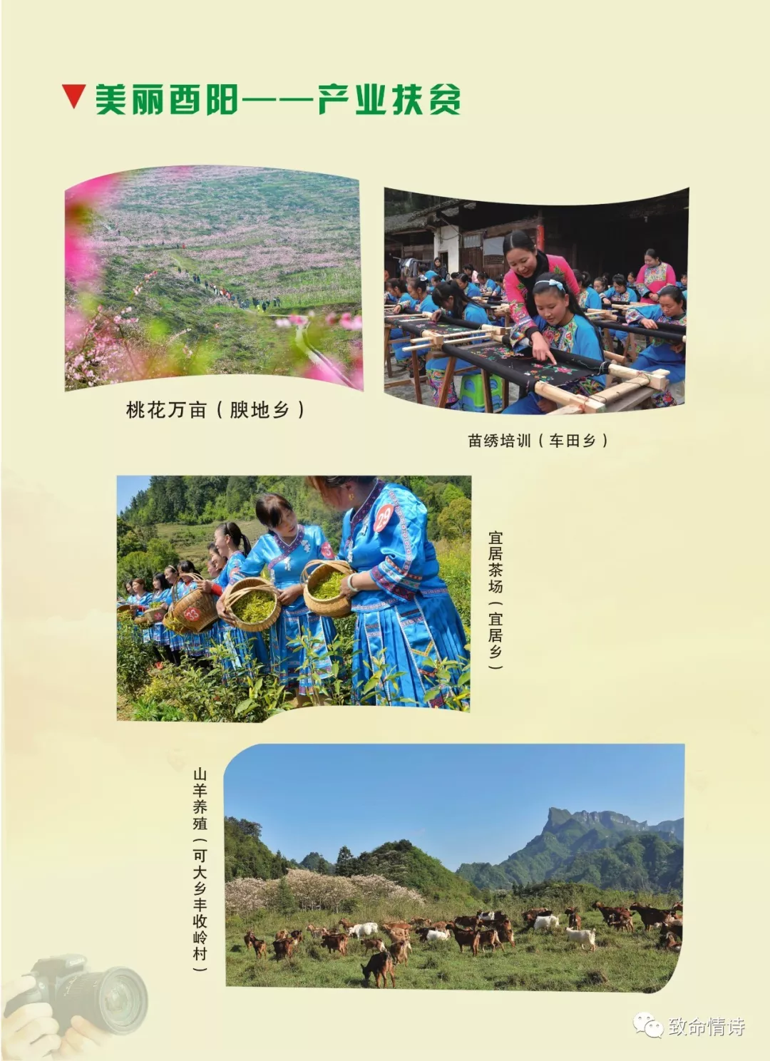 《酉水》2018年第5期目录 《酉水》2018年第5期目录