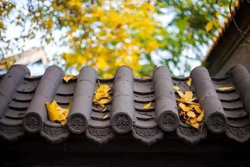 2024作文新题型——“统编教材型”作文（有范文，容易学！）