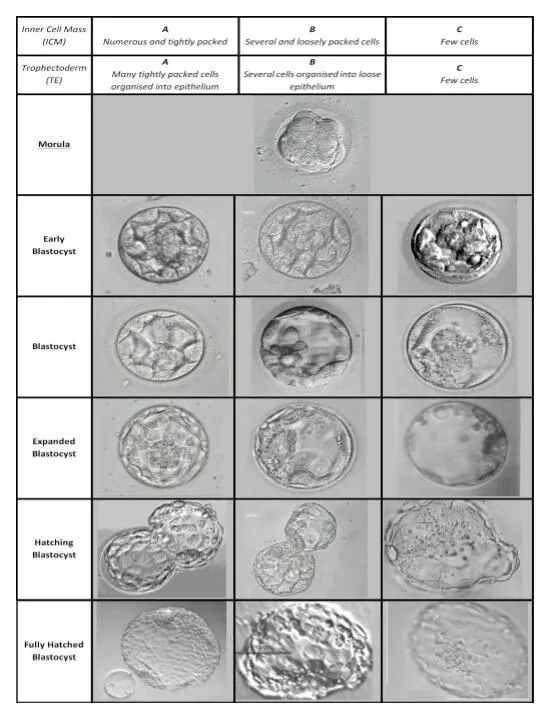 640_wx_fmt=png&from=appmsg&tp=webp&wxfrom=5&wx_lazy=1&wx_co=1.webp (1).jpg