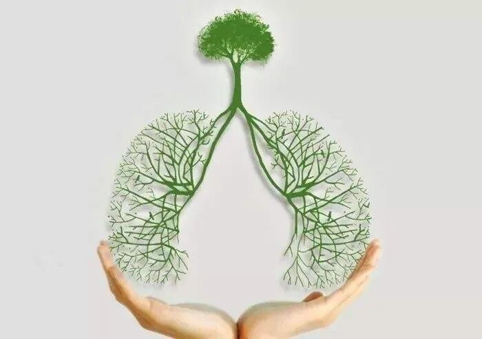 肺好的人，手上一般没有这3个“标记”，若你也是，肺还不错！