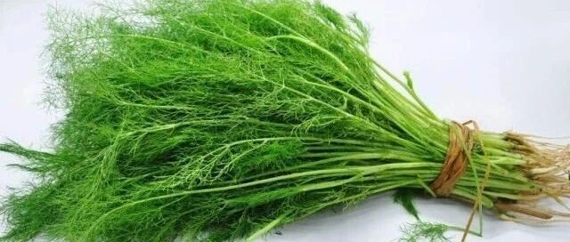 它是绿叶蔬菜第一名，三伏吃它，养阳驱寒，还是胃病克星！