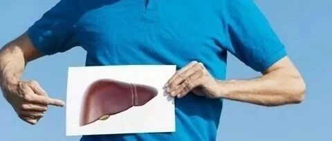 心怕盐、胃怕多、肠怕....​10位医生告诉你！你的器官最怕什么