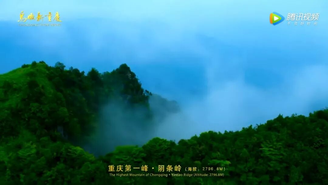 重庆什么时候成为直辖市_重庆是什么时候成为直辖市的_重庆 直辖