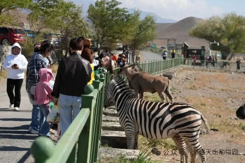 mmexport1772440843380