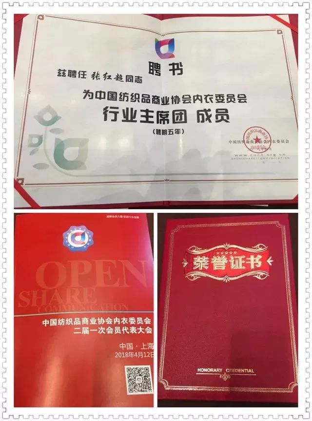 重大喜讯|恭祝都市新感觉荣获2017年度“中国内衣行业王牌连锁企业”!