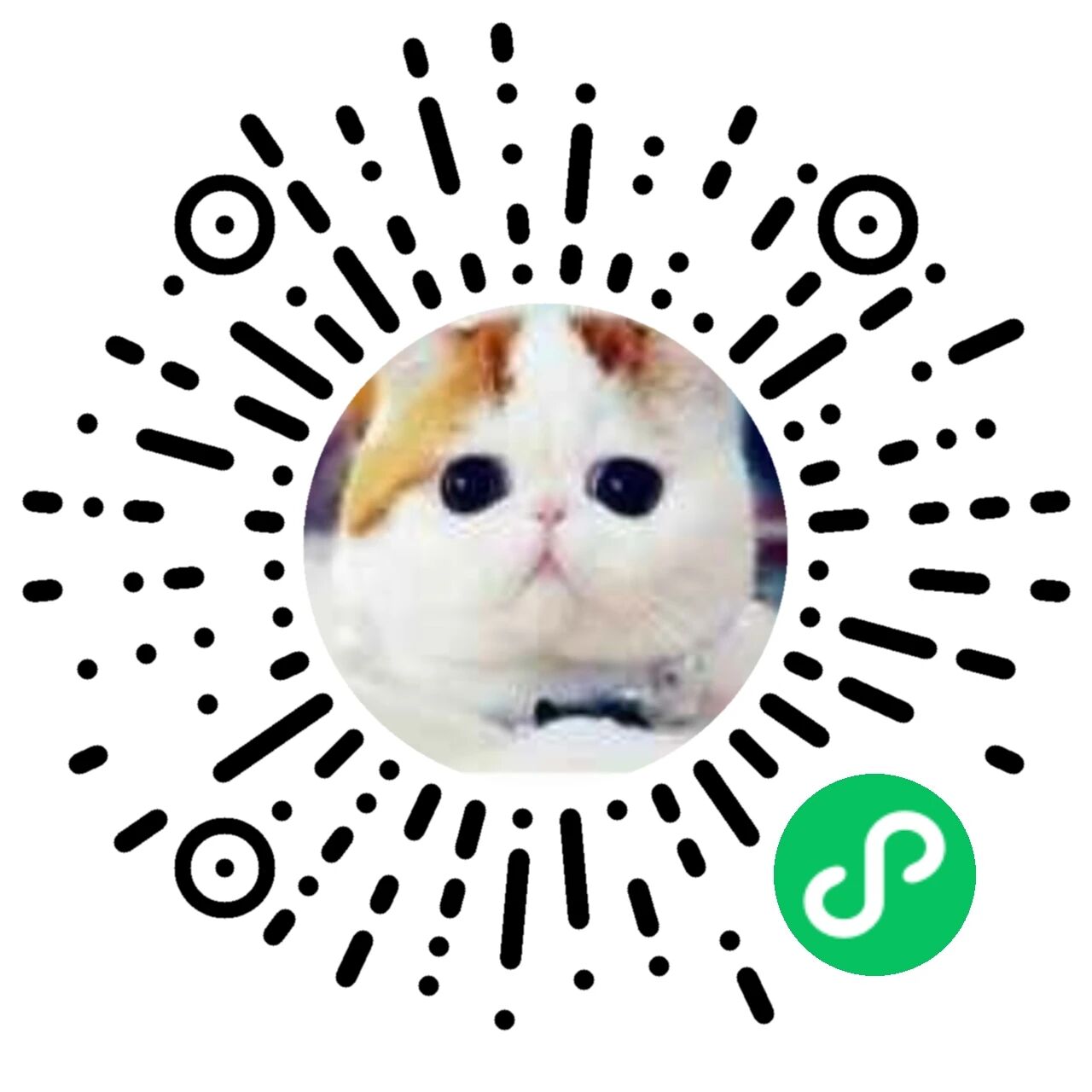 康祺祺惠购-小程序二维码