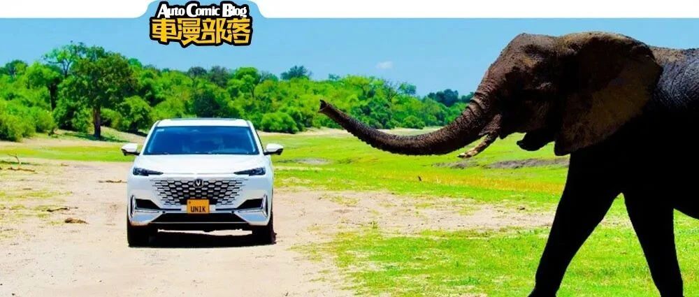 一女孩一车绕了地球一圈，还把自主SUV快递到非洲，非洲老乡都惊呆了！