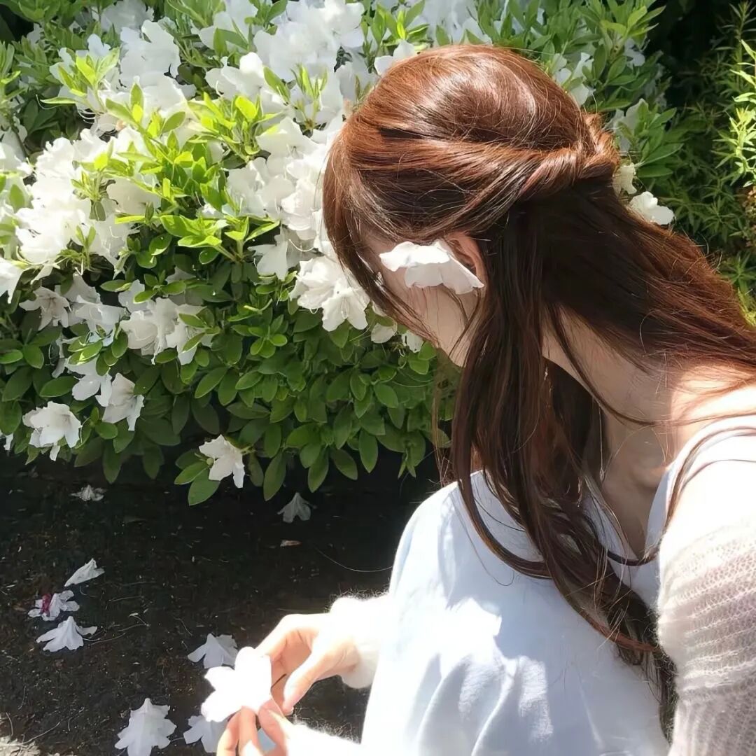 小头像 壁纸