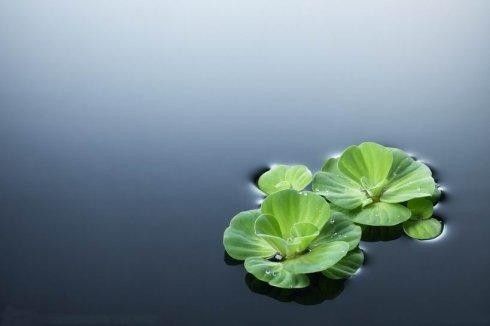 脉诊绝不是唯一的诊断，单独切脉不可能三指遍知病症