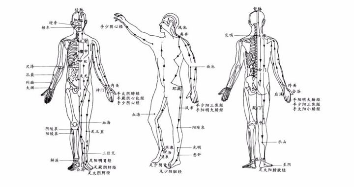 脉诊绝不是唯一的诊断，单独切脉不可能三指遍知病症