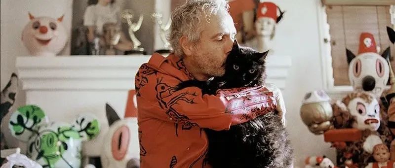 艺术家盖瑞·贝斯曼办展，主角是他的爱猫（内含福利）