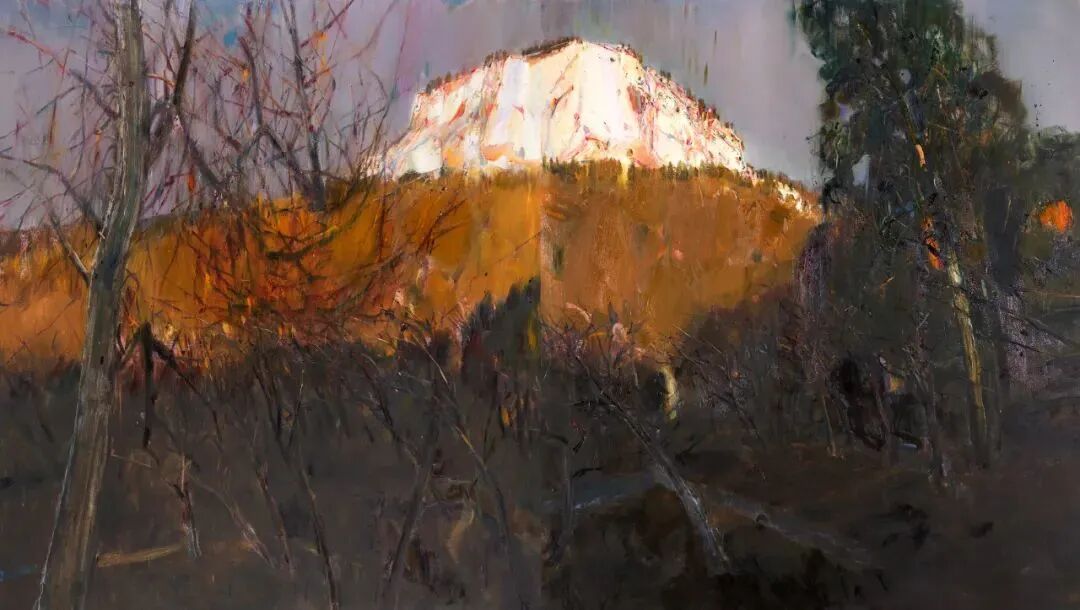 艺术家推荐丨管朴学GUANPUXUE(图6)