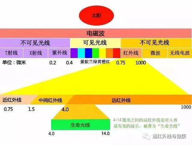 什么红外线理疗好远红外理疗法你关心的问题都在这里！_https://www.jmylbn.com_新闻资讯_第29张