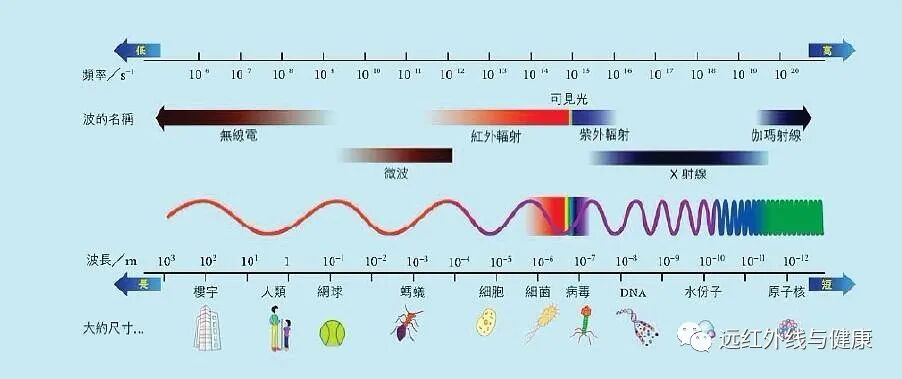 什么红外线理疗好远红外理疗法你关心的问题都在这里！_https://www.jmylbn.com_新闻资讯_第31张