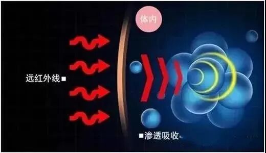 什么红外线理疗好远红外理疗法你关心的问题都在这里！_https://www.jmylbn.com_新闻资讯_第15张