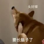 灭蚊三十六计，这就是传说中杀敌800自损1000的功法吧！