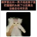 佛罗里达到底是个什么人才辈出的地方，连新闻都过于搞笑！