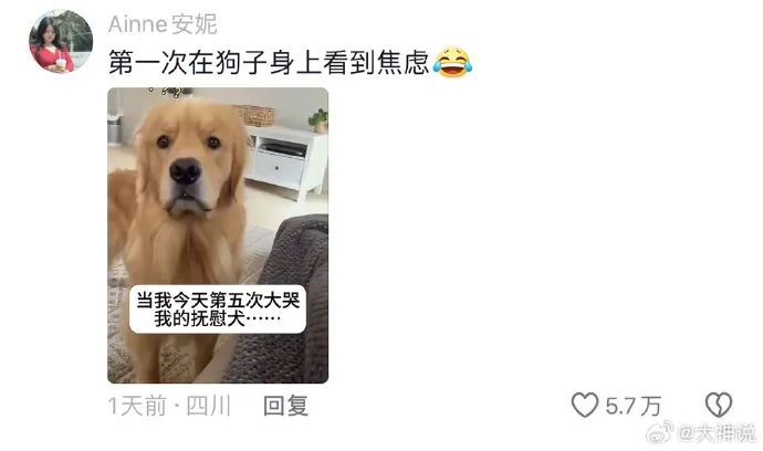 原来狗累了这么明显