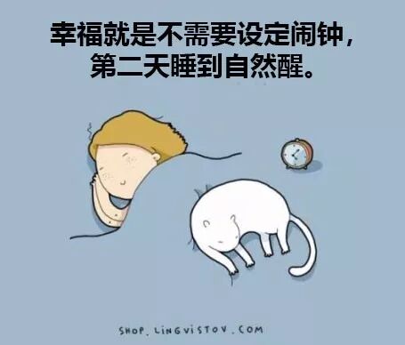 说说 - 多乐猫_duolemao.com