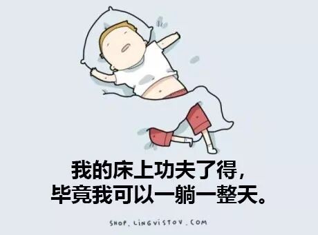 说说 - 多乐猫_duolemao.com