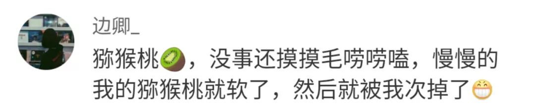 你都養過什麼神奇的東西當寵物？ 寵物 第23張