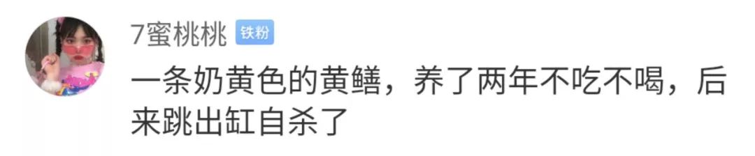 你都養過什麼神奇的東西當寵物？ 寵物 第20張