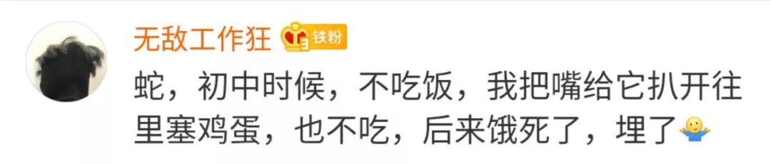 你都養過什麼神奇的東西當寵物？ 寵物 第2張