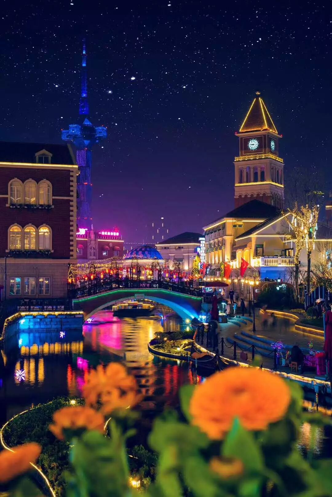 昨晚央视连“秀”盐城两处“花” 怎么能这么美