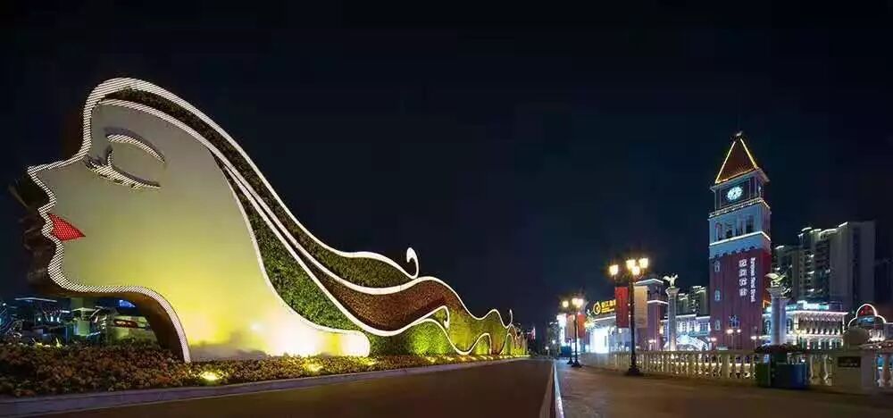 昨晚央视连“秀”盐城两处“花” 怎么能这么美