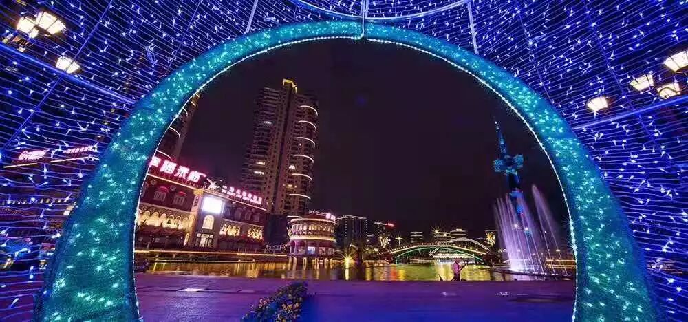 昨晚央视连“秀”盐城两处“花” 怎么能这么美