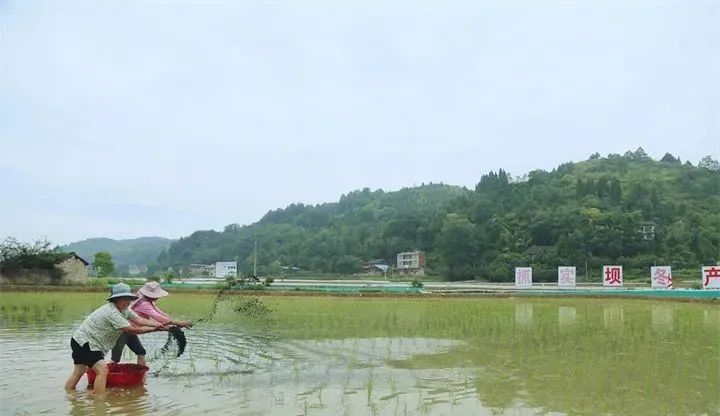 1655295082200668.jpg 图片