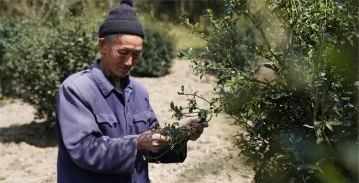 1649219743334002.jpg 图片