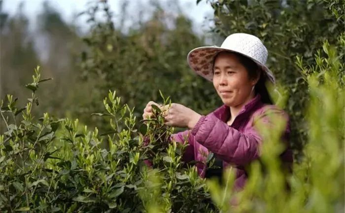 1649219496337870.jpg 图片