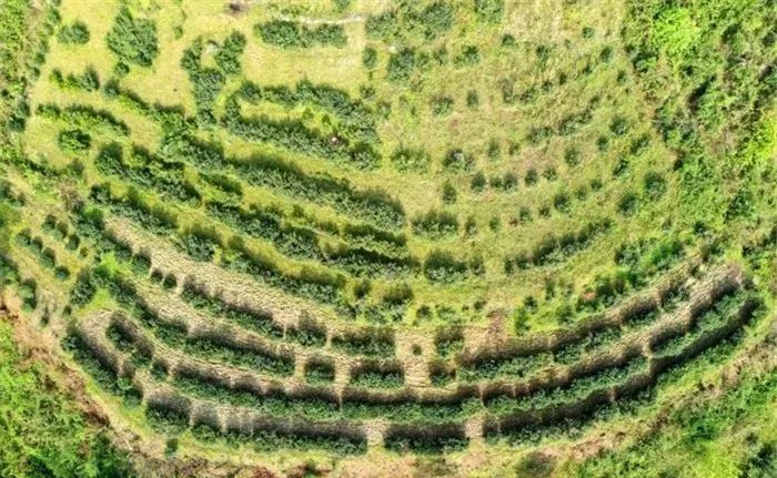 1649219403333407.jpg 图片