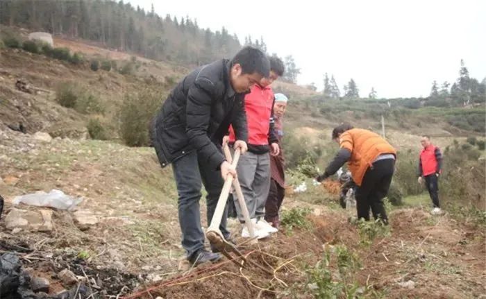 1649219635282000.jpg 图片