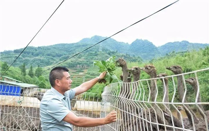 1655429842365101.jpg 图片