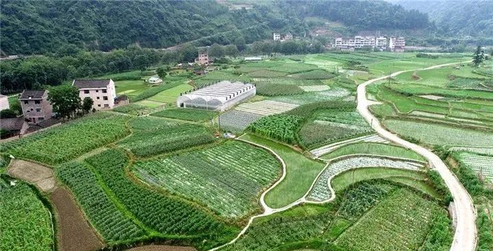 1655212021441797.jpg 图片