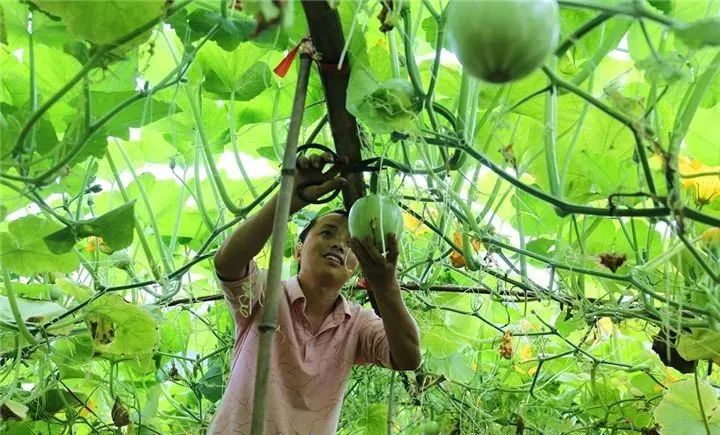 1655212044614041.jpg 图片