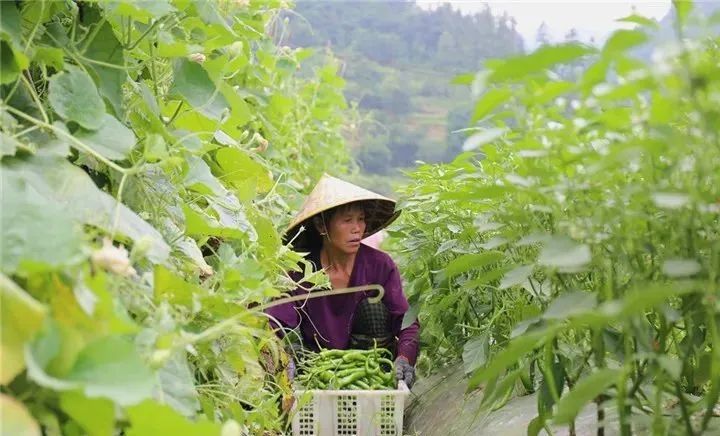 1655212029497140.jpg 图片