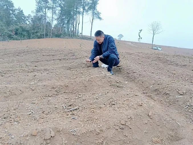 微信图片_20221124140954.jpg 图片
