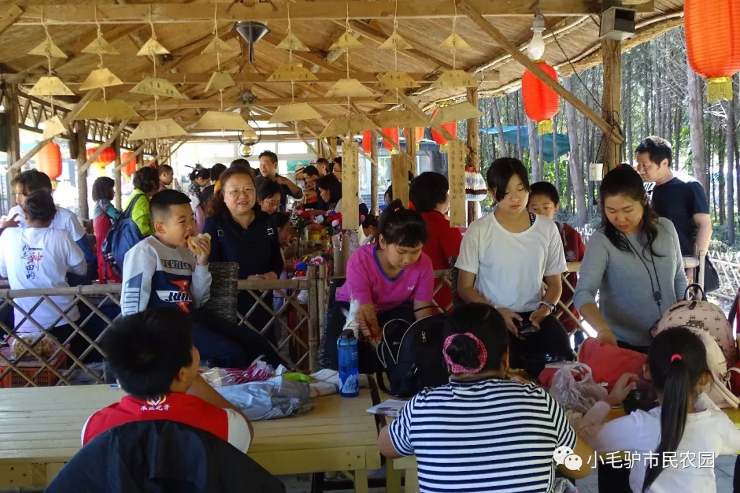 国庆欢聚，共话十年|北京小毛驴市民农园创立十周年庆典成功举办-爱故乡