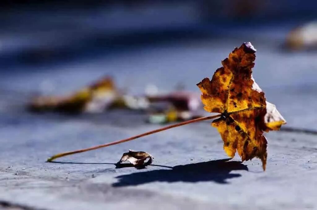 秋季养发从保护头皮开始！